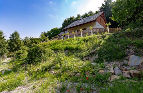 Vapenice Ski Chalet | Chalupa Paseky