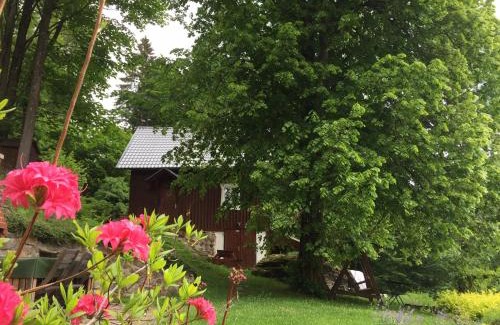 Paseky nad Jizerou Ski Chalet | Chalupa Pod Skalou II.