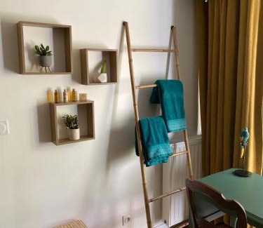 Jouvence House | Chambre Cocoon dans une maison avec SPA et jardin en centre ville