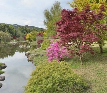 Mialet Bed & Breakfast | Chambre d'Hôte dans MAS proche Anduze Cévennes avec piscine