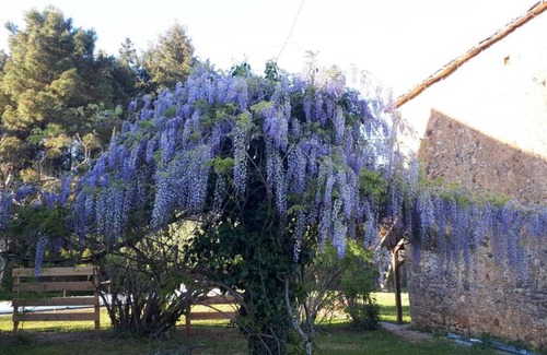 Marminiac Bed & Breakfast | Chambre d hôtes du raoussou
