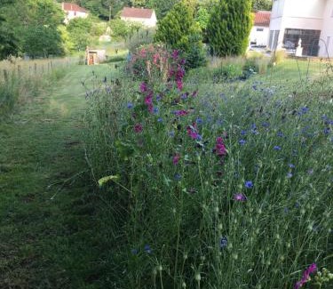 Saint-Martial-de-Valette Bed & Breakfast | Chambre d'hôtes Le clos de Rapevache