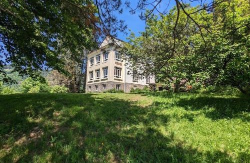Sapois Bed & Breakfast | Chambre Jonquille avec entrée privée et animaux admis - FR-1-589-718