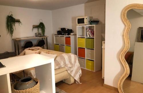 Mirefleurs House | Chambre privée MIREFLEURS