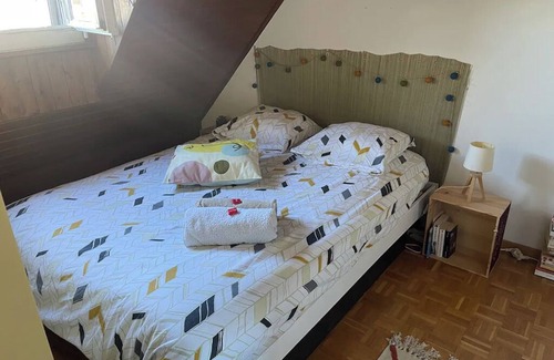 Chatel-Saint Denis Bed & Breakfast | Chambre, Salle de Bain et Toilettes Privatifs Dans Appartement à 2 pas du lac