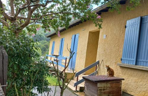 Aspet Bed & Breakfast | Chambre spatieuse avec grand lit.