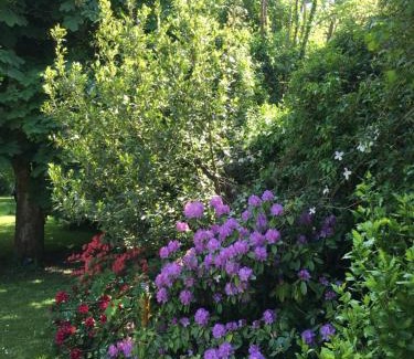 Chaumes-en-Brie Bed & Breakfast | CHAMBRES D HÔTES Chez Françoise et Michel PISCINE 4 chambres 8 lits