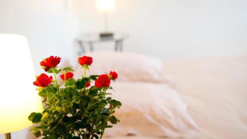 Buzeins Bed & Breakfast | Chambres d'hôtes Entre Dolmens et Fontaines