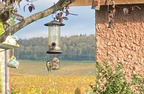 Le Vernois Bed & Breakfast | Chambres d'hôtes Le Relais de la Perle