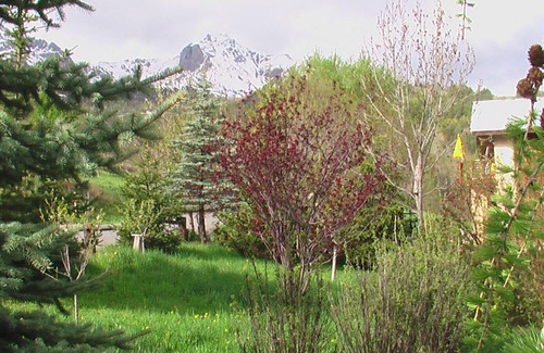 Le Sauze Cottage | Chamois * agréement prefectural 04-073-0252