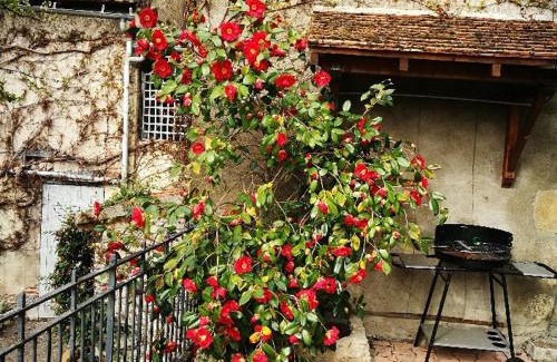 Billy House | Charmant gîte près d'un château avec jardin, terrasse, parking et WiFi, à 14 km de Vichy - FR-1-489-1