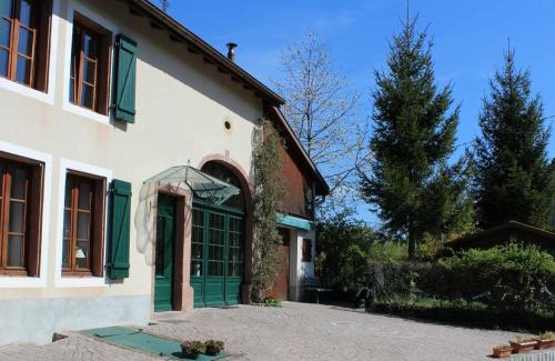 Bionville House | Charmant Gîte Vosgien avec Terrasse, Randonnées et Lacs, Proche Alsace et Col du Donon - FR-1-584-54
