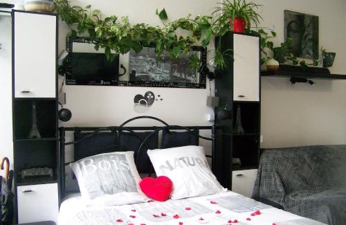 Sud Loire Apartment | Charmant STUDIO au Calme Tout Confort Dans Château Néo Gothique proche ZENITH COMET ORLEANS Parking Voiture Gratuit WIFI Haut Débit Rue des Montées