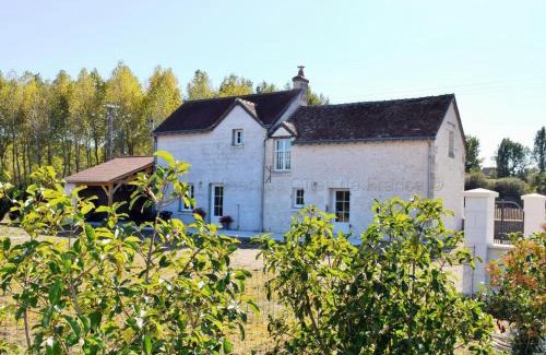 Rilly-sur-Vienne House | Charmante maison avec piscine et grand jardin en Touraine, proche châteaux de la Loire et Futuroscope - FR-1-381-481
