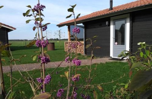 Beilen Ski Chalet | Charme camping Vorrelveen