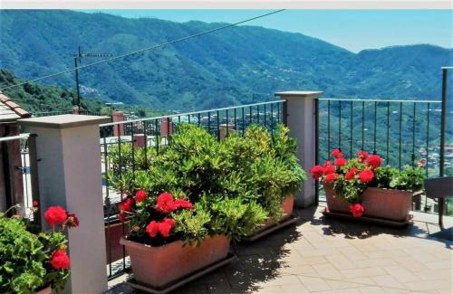 Lavaggiorosso Apartment | Charme e Relax