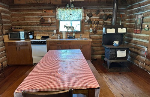 Minden Cabin | Charming 1-bedroom cabin over looking a pond & located on a cattle ranch