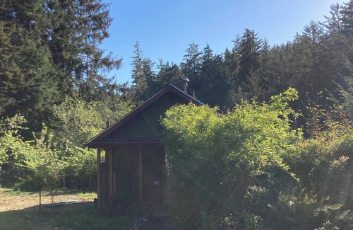 Waldport House | Charming 1-bedroom house surrounded by trees just outside tranquil Waldport