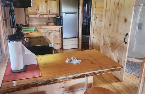 Melmore Cabin | Charming 2-bedroom cabin in Carey with AC, WiFi