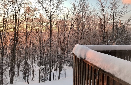 Bromley Mountain House | Charming and Warm Bromley Mountainside Home - Seasonal Rental