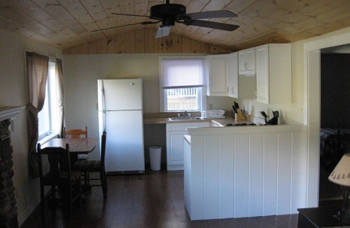 Salisbury Cottage | Charming cabin overlooking Lake Dunmore with stunning views of the Green Mts.