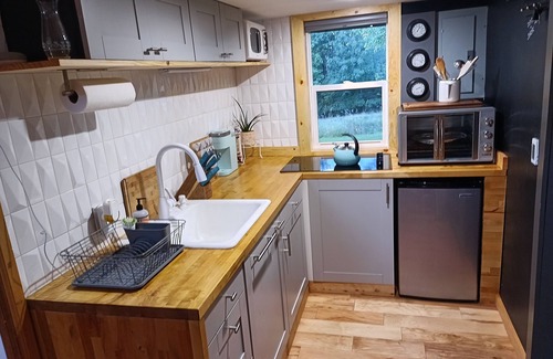 Town of Conesville Cottage | Charming cottage with a mountain view from the wrap-around deck.