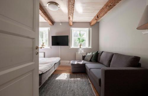 Innerstaden Apartment | Charming Garden View Apartment with Terrace & grill