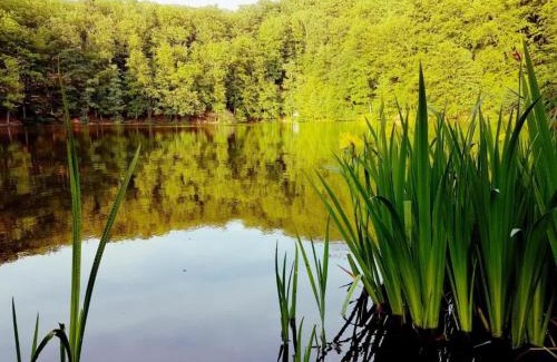 Unterweid House | Charming holiday home with natural garden in Kaltennordheim-Thuringia