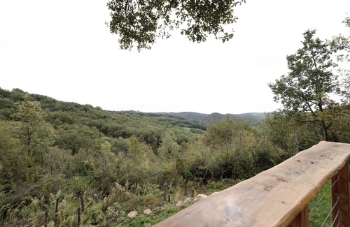 Monteils House | Charming house with exceptional view