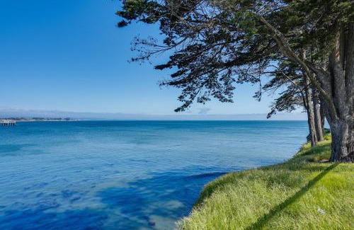 Westside Santa Cruz Apartment | Charming Santa Cruz Studio with Private Hot Tub