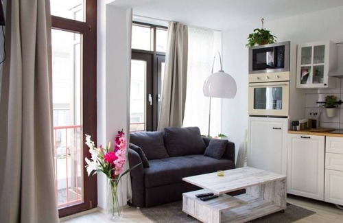 Innenstadt Apartment | Charming studio/old town