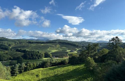 Fleetwood House | Chasing Clouds Cabin
