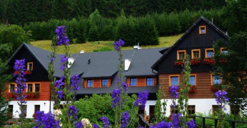 Bielice Bed & Breakfast | Chata Cyborga