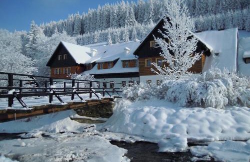 Bielice Bed & Breakfast | Chata Cyborga