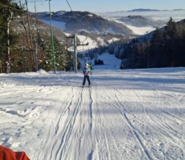 Janowice Wielkie Ski Chalet | Chata Czarny Kot z jacuzzi i sauną