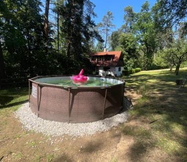 Vojnikov House | Chata nad řekou Otavou