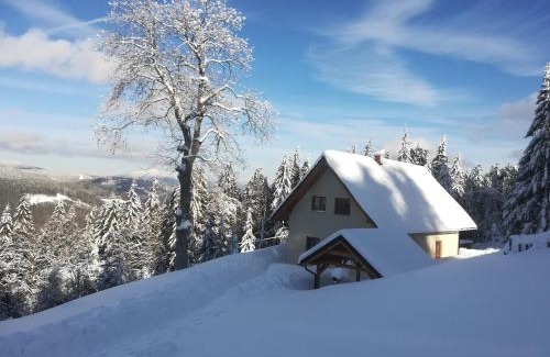 Bila Ski Chalet | Chata Wostry