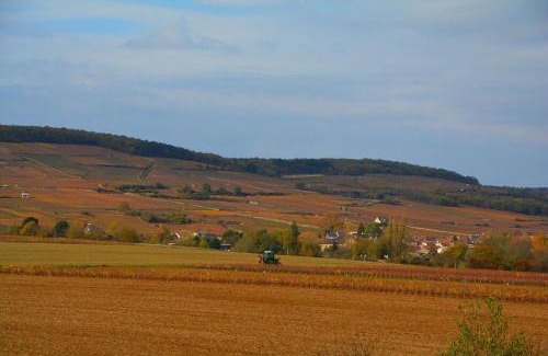 Ladoix-Serrigny Villa | Chateau des Barrigards