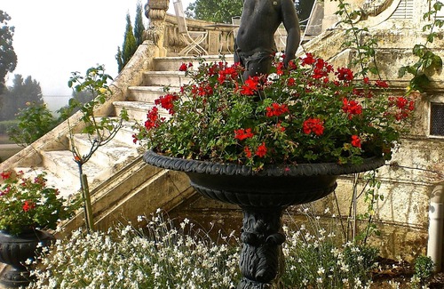 Fronsac House | Chateau Junayme has fronsac