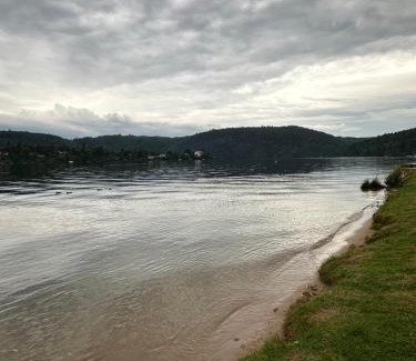 Nebrich Other | Chatka Nová Živohošť