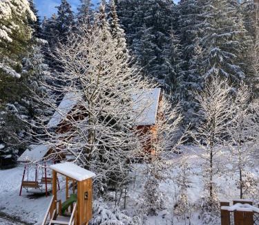 Horni Becva Ski Chalet | Chaty Marta