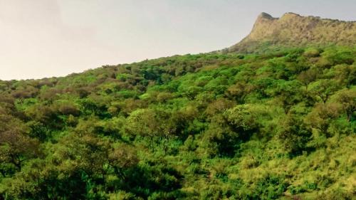 Southern Nations Cabin | Chebera Elephant Paw Lodge