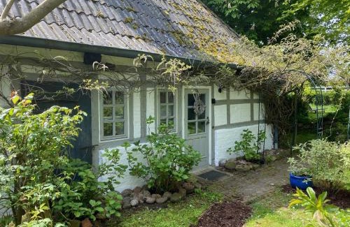 Rantzau Apartment | Chestnut Cottage