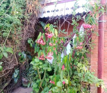 Fianarantsoa House | Chez Julienne