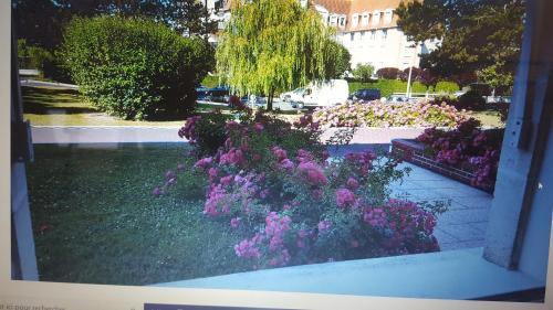 Tourgeville Apartment | Chez marilyn