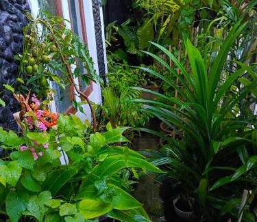 Surakarta House | ChiGhaya Guest House
