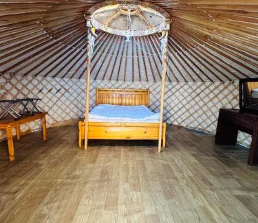 Dalanzadgad House | Chimgee Guest House in Dalanzadgad