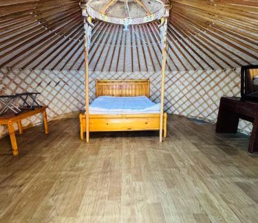Dalanzadgad House | chimgee guesthouse