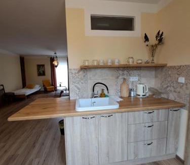 Lukova Apartment | Cihlový apartmán - 100DOLA