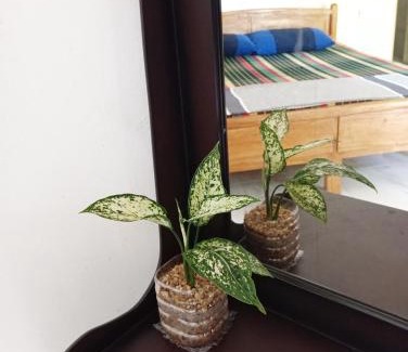 Pelena House | cinometra